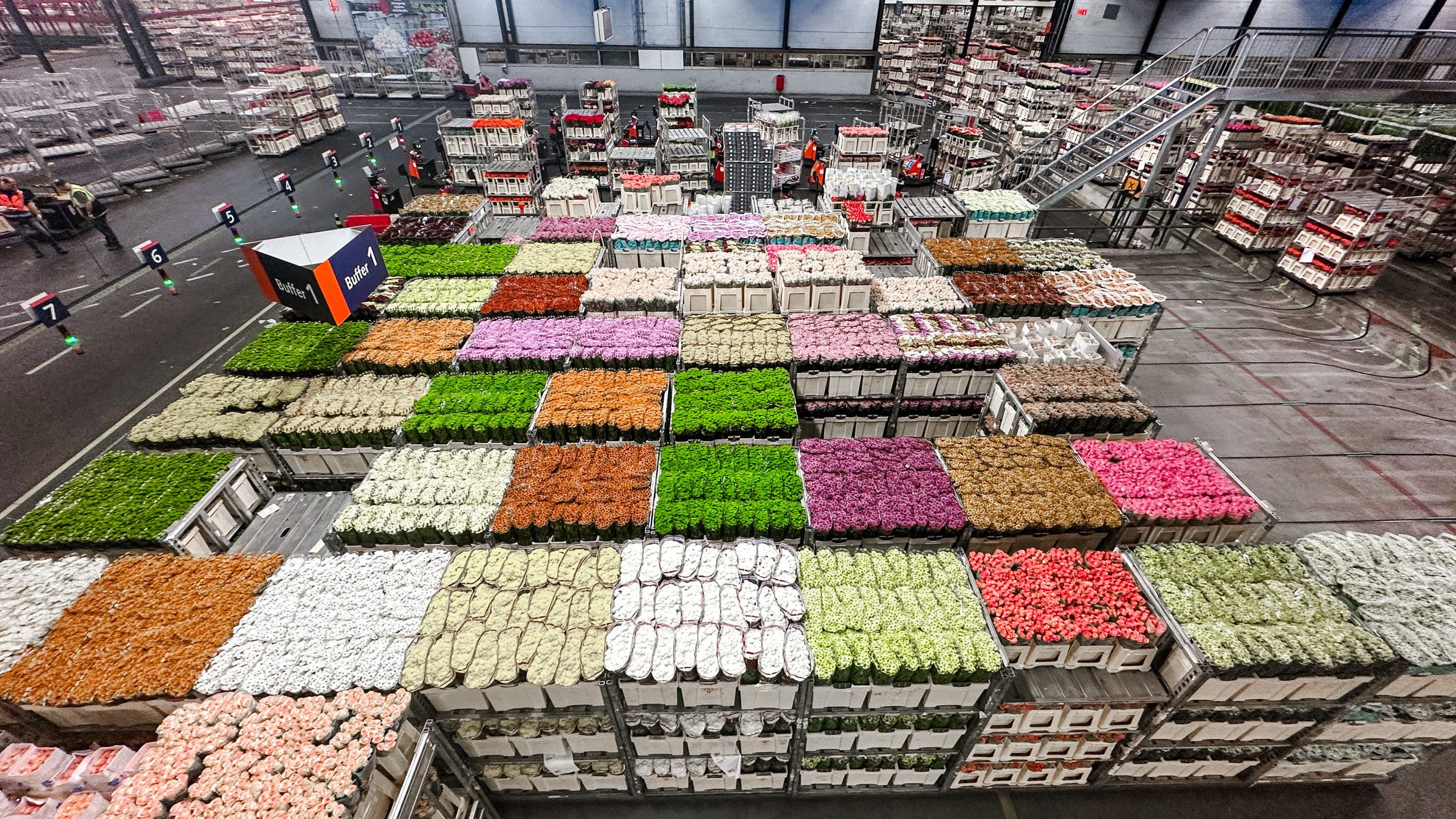 How Does Aalsmeer Flower Auction Work Best Flower Site